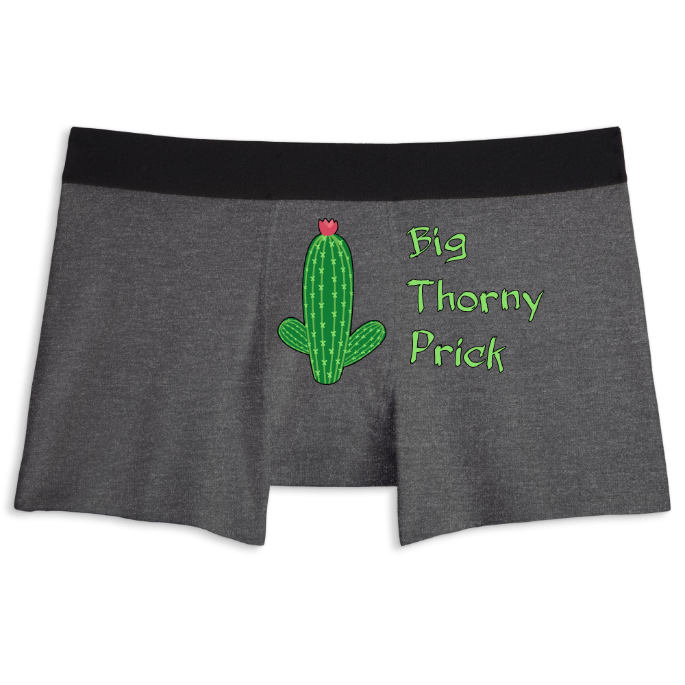 Mens Big Dill Boxer Briefs Funny Saying Pickle Quote Graphic