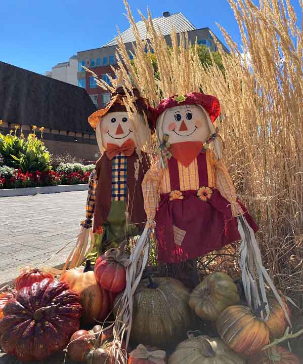 two scarecrows dressed in fall colored clothing in a garden in downtown Burlington