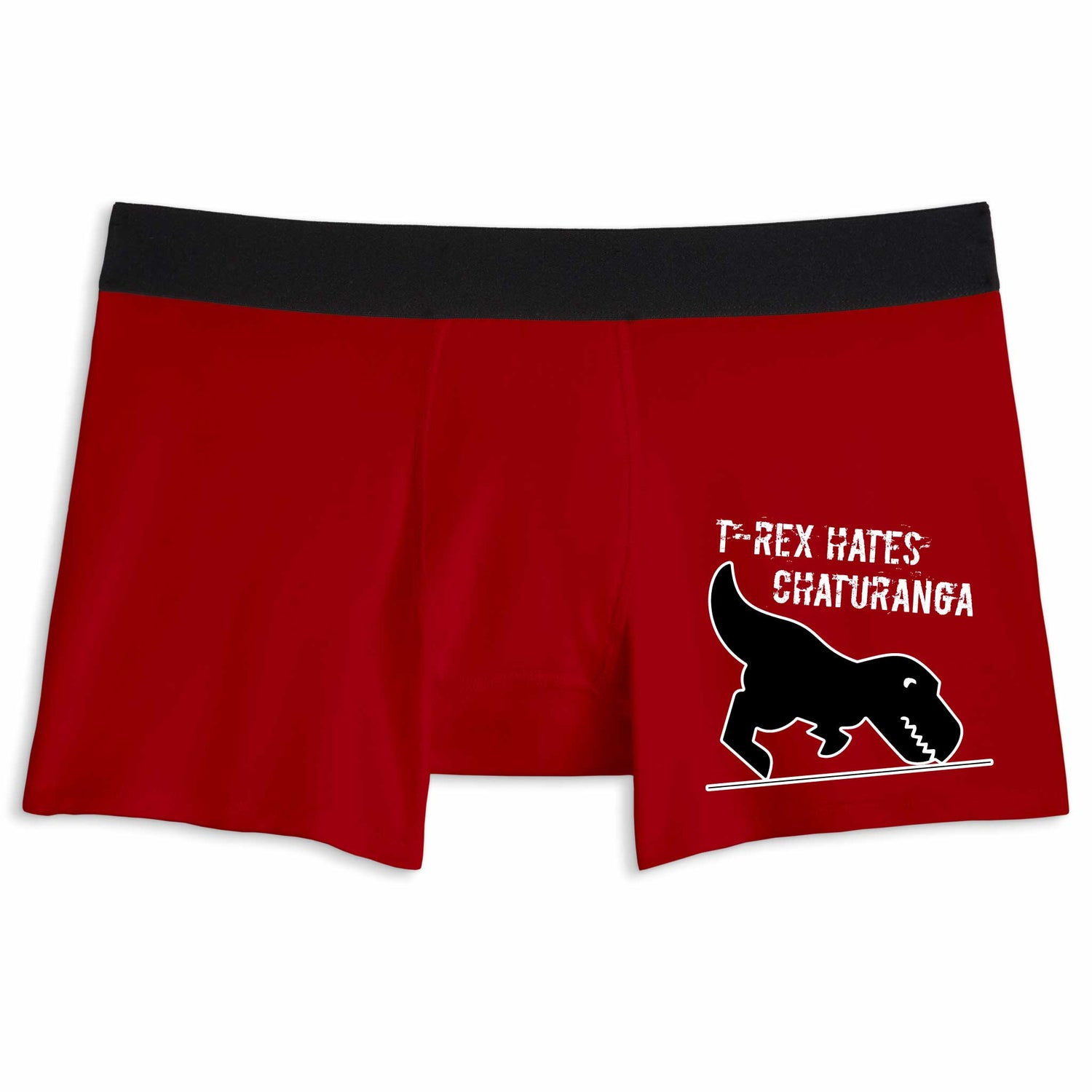 T-Rex hates Chaturanga | Boxer briefs underwear