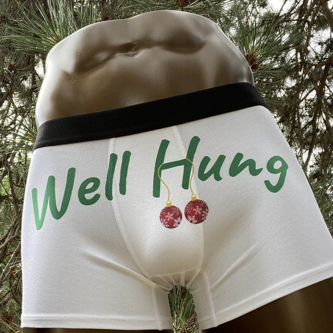 Well Hung | Boxer Briefs Underwear